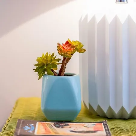 Baixa 2 Bedrooms Apt With Patio + Free Pick Up By Timecooler *